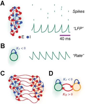 Figure 2. Models of interacting areas. A: in the network model, each local area is modeled as a large network of randomly and sparsely interconnected excitatory and inhibitory spiking neurons (inhibitory cells and synapses are in blue, excitatory cells and