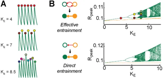 Figure 7A), due to the onset of deterministic chaos (see also [69]