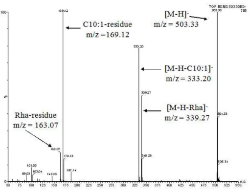 Fig. 1. SMS spectrum of the reference rhamnolipid JBR425 (Mw: 504.330) in negative ion mode: Parent ion (m/z=503.33), fragment ions of the rhamnose moiety, “Rha-residue”