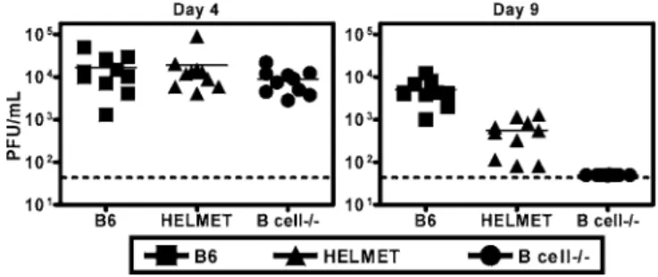 Figure 4. HEL-Specific B Cells Restore Acute Phase cHV68 Replication to the B Cell/ Background