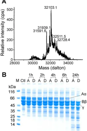 Figure 1. Characterization of DS-acutobin. (A) Analysis of DS- DS-acutobin mass by ESI-MS spectrometry