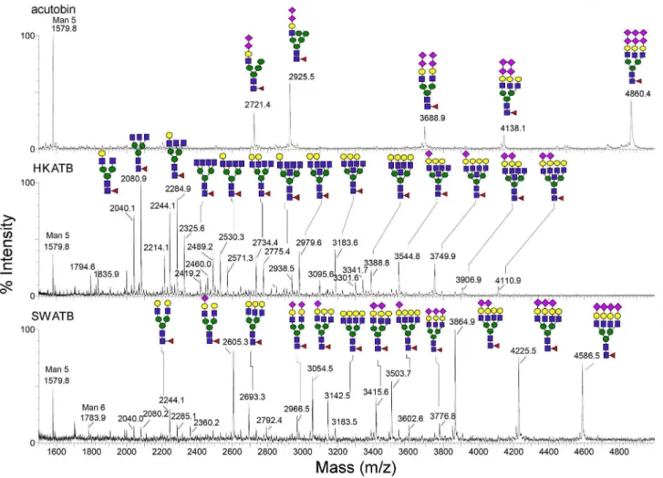 Figure 6. Thermal stability of different glycoforms of acutobin.