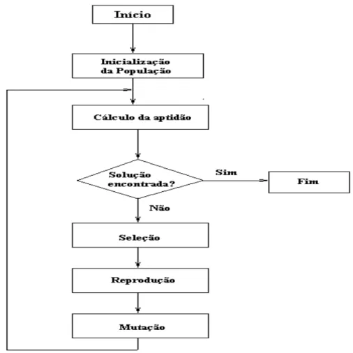 Figura 1: Fluxo de execu¸c˜ao dos AGs