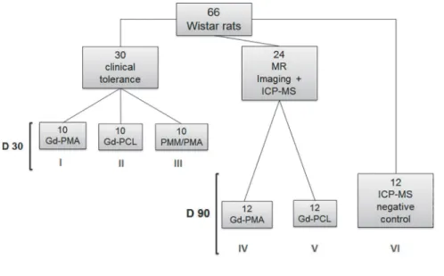 Fig 1. Flowchart showing experimental and control groups.