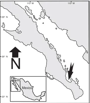 Figure 1. Map showing location of coral sampling site in Bahía de La Paz, México.
