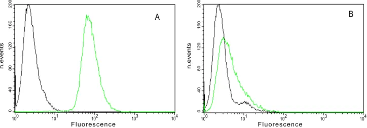 Figure 1. Analysis of expression of avb3 integrin in WM266 and HeLa cells by flow cytometry