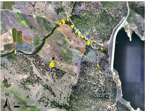 Figure 1. Locations of a wild-free-ranging otter accessed on the Internet in real time