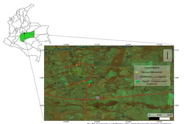 Figure 1.  Location of the study area in Colombia and transects analyzed in the region under study