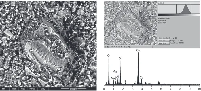 figure 5.  Sem micrograph of the 90 days cured WCS mixes having 6 % nh activator (water/binder of 0.25 %).