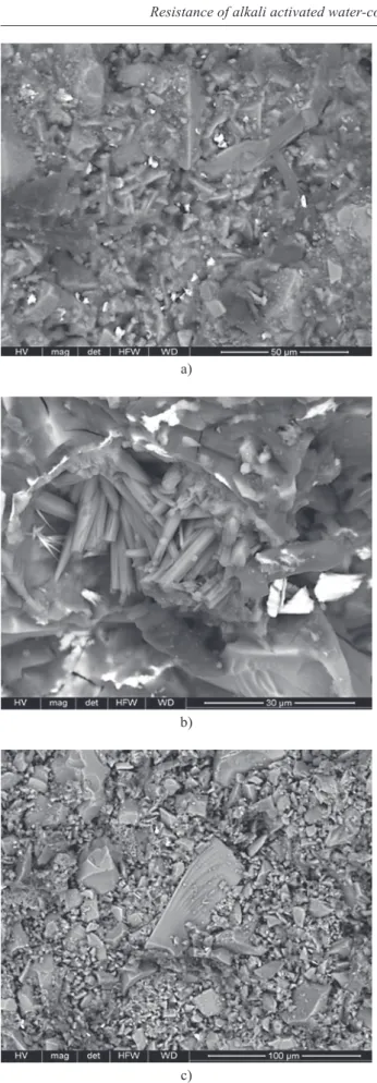 figure 10.  Sem micrograph of the WCS mixes immersed in  5 % mg SO 4  cured for 2 month (water/binder of 0.25 %) using: 