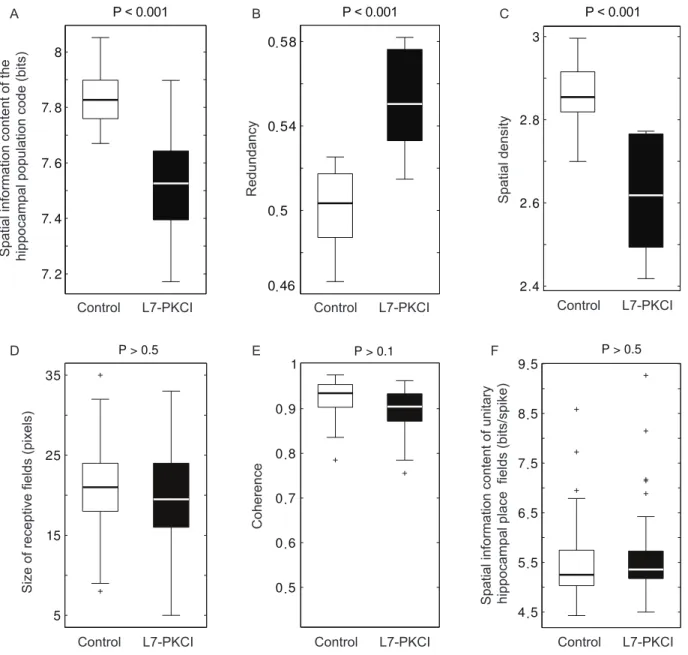 Figure 7. Population place coding is suboptimal in simulated L7-PKCI mice compared to controls