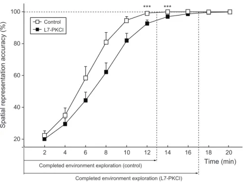 Figure 9. Cerebellar adaptation deficits impact the exploratory behaviour of simulated L7-PKCI mice