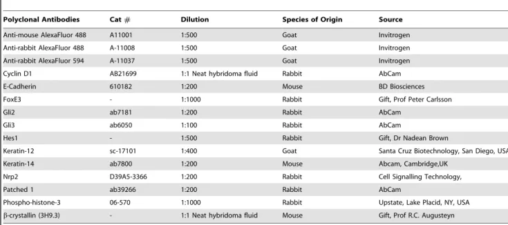 Table 3. Antibodies used for Immunofluorescence.