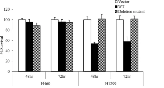 Figure 5. Overexpression of novel p53 mutation does not confer radiation resistance. p53 variant does not affect radiation resistance in the presence of WT p53