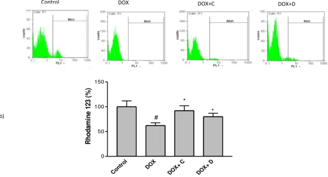 Figure  3. Effect  of  fractions C  and D  (25  µg/ml) of  aerial parts of  Artemisia  biennis  hydroethanolic extract on  DOX (2.5  µg/ml)  -induced  mitochondrial  membrane  potential  (MMP)  collapse  as  detected  by  Rhodamine  123  using  flowcytomet