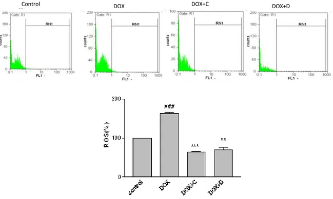 Figure 5. Effect of fractions C and D of aerial parts of Artemisia biennis hydroethanolic extract on DOX –induced ROS overproduction as detected by  DCF using flowcytometry