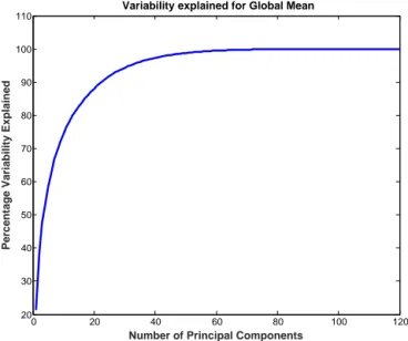Figure 1. Percentage of variability explained for global mean by component scores.