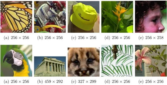 Figure 3.3 – Test images: Butterﬂy, Bike, Hat, Plants, Girl, Parrot, Parthenon, Raccoon, Leaves, Flower.