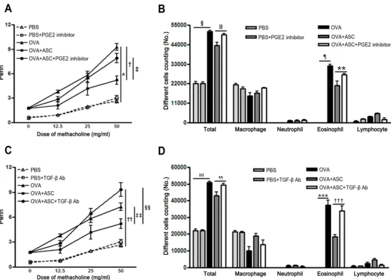 Fig 2. Effect of adipose-derived stem cells (ASCs) on airway hyperresponsiveness (AHR) and inflammatory cells in the bronchoalveolar lavage fluid (BALF)