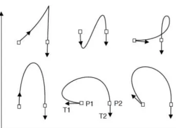 Figura 3.8 - Exemplo de diferentes curvas formadas alterando-se apenas o vetor T 1  (MOTTA,  2010) 