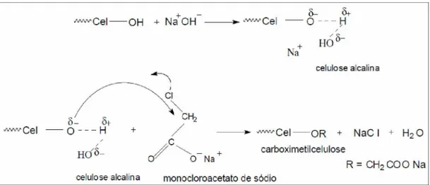 Figura  11:  Representação  esquemática  da  reação  de  carboximetilação  da  celulose  (CERRUTTI, 2010).
