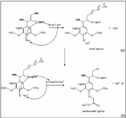 Figura  13:  Representação  esquemática:  a)  formação  do  álcali  lignina;  b)  reação  de  carboximetilação (SOUZA, 2006 apud CERRUTTI, 2010).