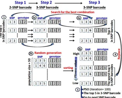 Figure 1. Population initialization using conservation of the best 5 results.