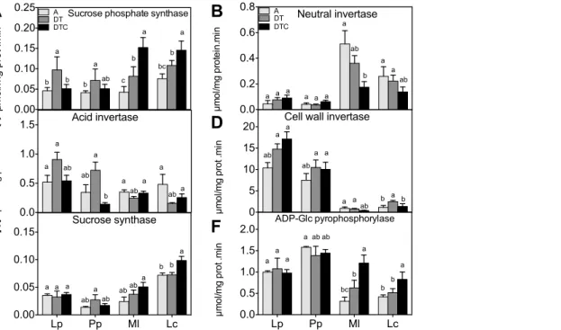 Figure 2. Effect of climate extreme conditions in ambient and elevated CO 2 on carbohydrate metabolism enzyme activities