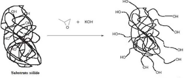 Figura 10: Representação esquemática da reação de oxipropilação de substratos ricos em  grupos hidroxilas e sua conversão em poliol