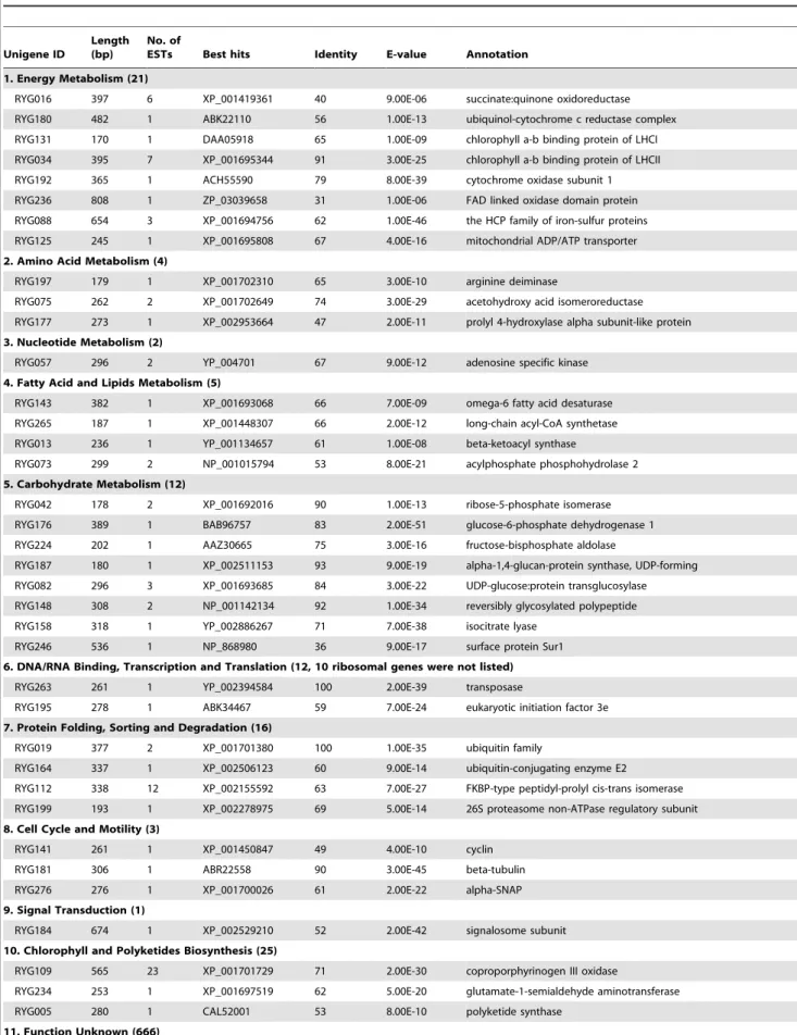 Table 3. Functional classification of the differentially expressed genes in reverse library.