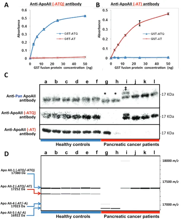 Fig. 6C and 6D), indicating that enhancement of proteolytic digestion is responsible for the reduction of ApoAII-2 in these patients.