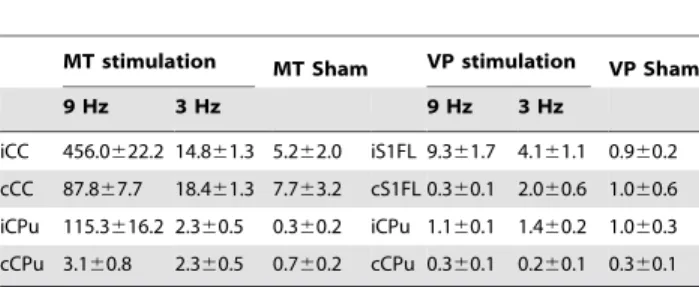 Table 1. c-Fos cells after MT and VP stimulation.