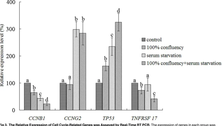 Fig 3. The Relative Expression of Cell Cycle-Related Genes was Assayed by Real-Time RT PCR