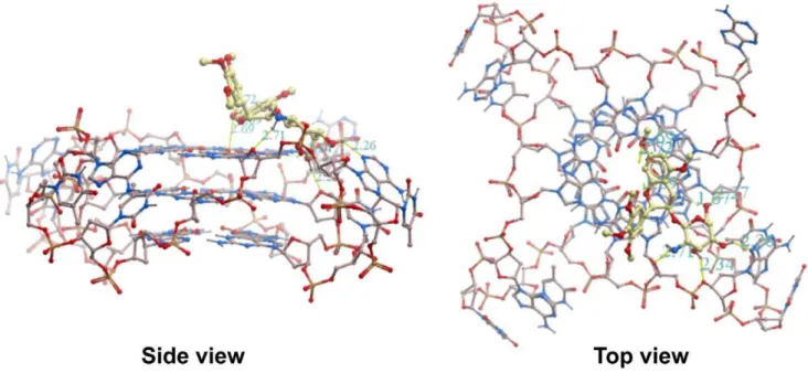 Figure 6. Relative binding affinities of 16 and 18 with different intramolecular oncogene G-quadruplexes