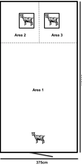 Figure 1. A schematic picture of the test arena. The social test including the two stimuli kids in cages
