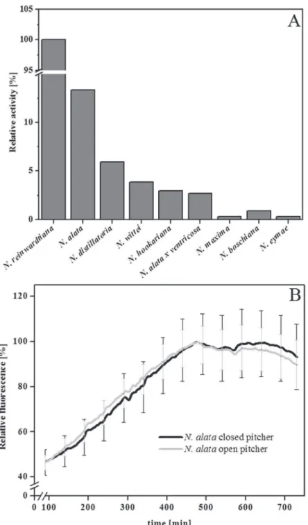 Fig 2. Proteolytic activity in Nepenthes. A Samples of the pitcher fluid of ten different Nepenthes species were investigated for their PFU-093 cleaving activity