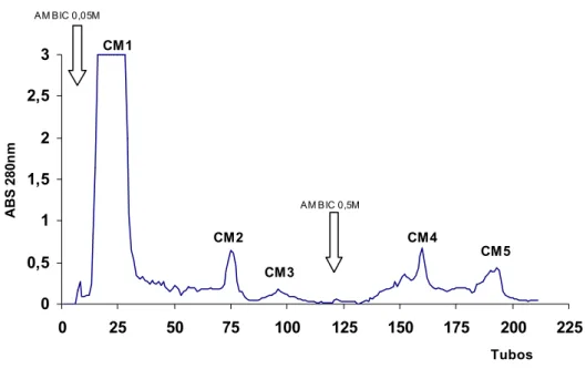 Figura 1. Perfil cromatográfico de peçonha bruta de Bothrops pauloensis  em resina de troca iônica CM-Sepharose
