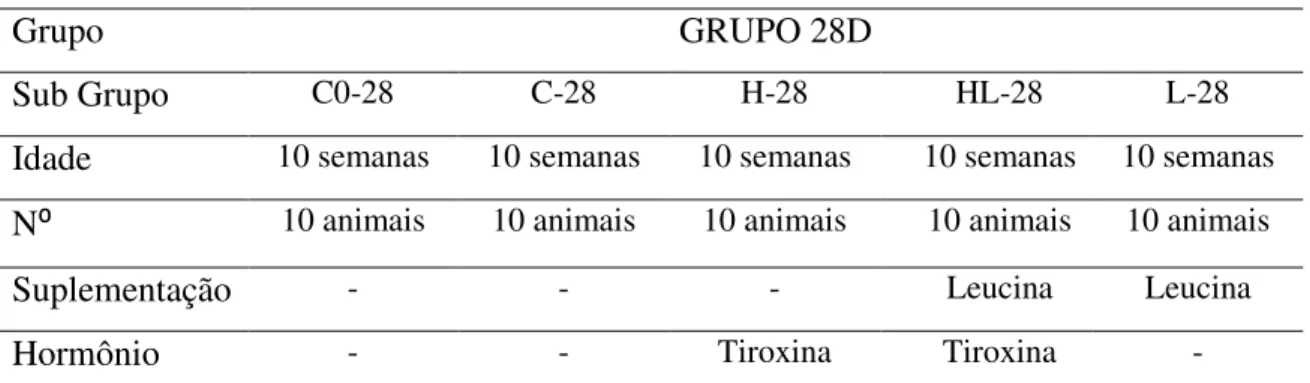 Tabela 2- Divisão dos animais no grupo 28D e subgrupos. 