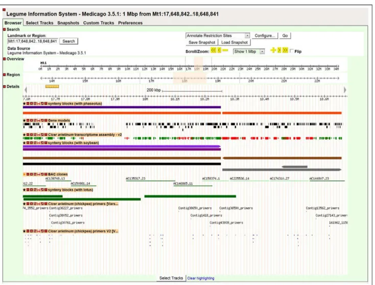 Figure 4. A sample view of chickpea TACs, markers and candidate ISR markers onto Medicago Genome sequence