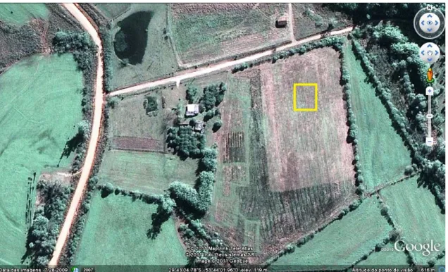 Figura 1. Vista aérea da área experimental. Fonte: Google Earth. 