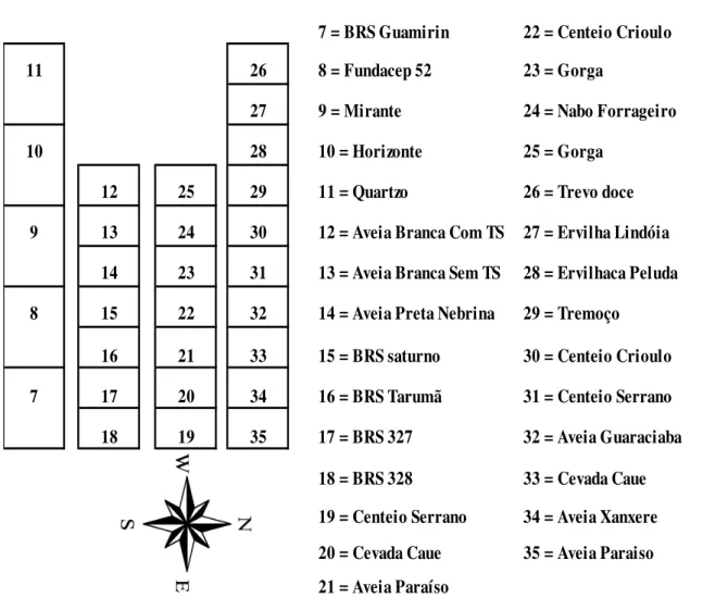 Figura 1 -  Parcelas demonstrativas de inverno