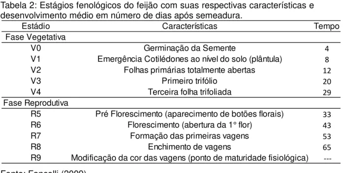 Tabela 2: Estágios fenológicos do feijão com suas respectivas características e  desenvolvimento médio em número de dias após semeadura