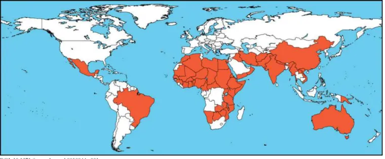Figure 1. The Worldwide Distribution of Trachoma  (Map: Silvio Mariotti/WHO) 