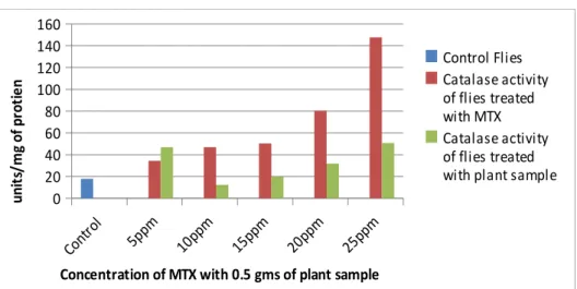 Figure 1. Specific activity of catalase enzyme in control flies, MTX (Methotrexate) induced flies and  in flies treated with plant sample.