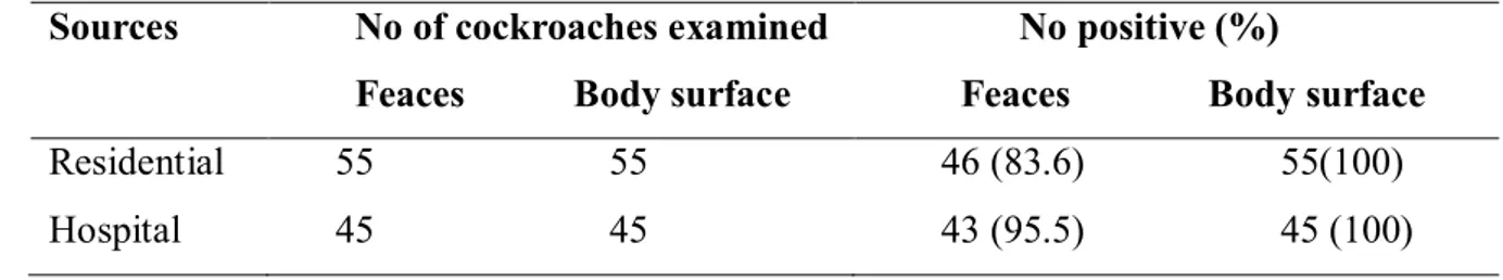 Table  1  Occurrence  of  the  microorganisms  in  the  faecal  pellets  and  body  surfaces  of  the  cockroaches at the study area 