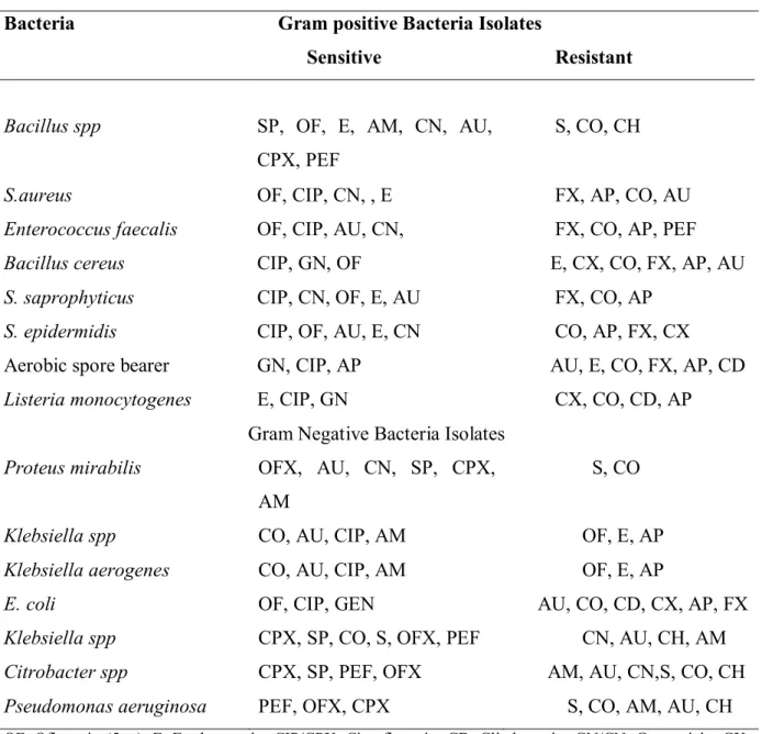 Table  4  Antibiograms  of  pathogenic  bacteria  isolated  from  cockroaches  trapped  at  the  residential areas 