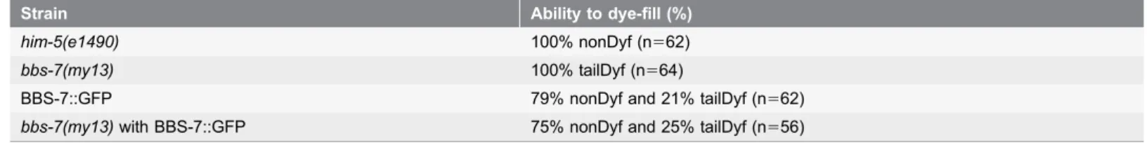 Table 3. BBS-7::GFP restores phasmid dye-filling in bbs-7(my13) mutant animals.