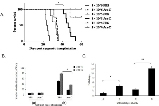 Figure 3. The effect of leukemic load on the survival of recipient mice. Fig. 3A) The survival of B6C3F1 mice receiving different dose of B117P cells and treated with either Ara-C or PBS