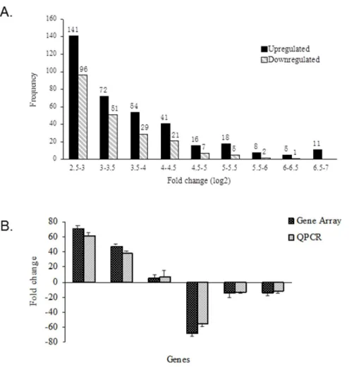 Figure 5. Gene expression profiling of leukemic cells sensitive or resistant to Ara-C