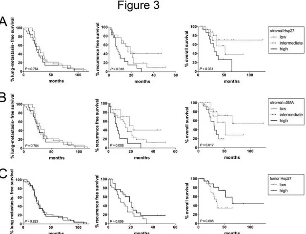 Fig 3. Kaplan-Meier plots showing the lung-metastasis free survival, recurrence free survival and overall survival after metastasectomy dependent on stromal Hsp27 (A), stromal α-SMA (B) and tumor Hsp27 (C) scoring.